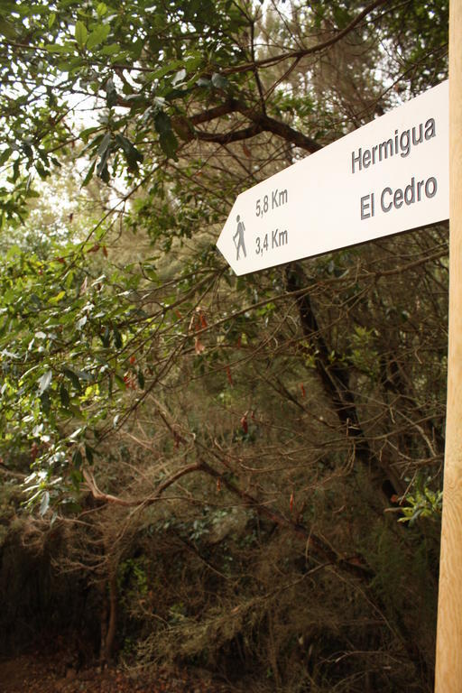 Casa Rural El Rincon De Antonia Agulo Zewnętrze zdjęcie