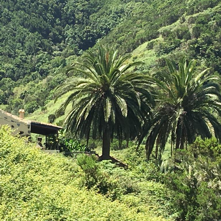 Casa Rural El Rincon De Antonia Agulo Zewnętrze zdjęcie