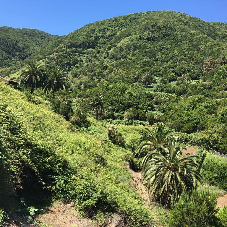 Casa Rural El Rincon De Antonia Agulo Zewnętrze zdjęcie