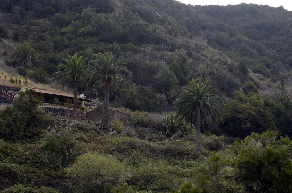 Casa Rural El Rincon De Antonia Agulo Zewnętrze zdjęcie
